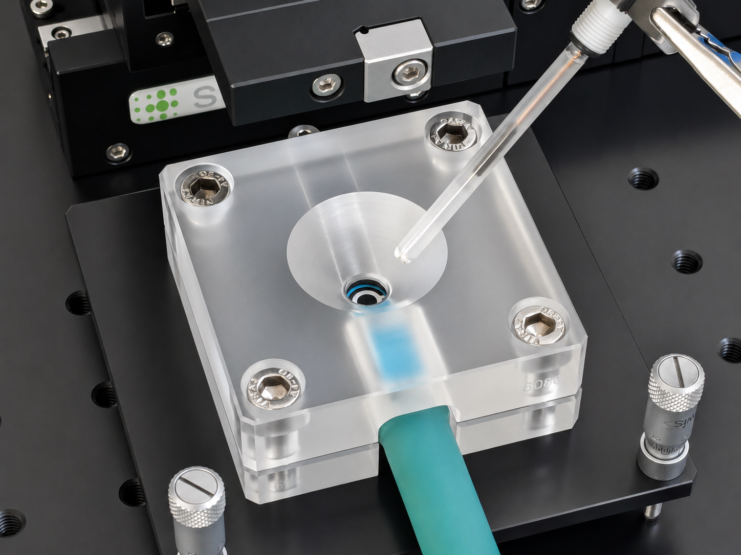 Specialized Cells