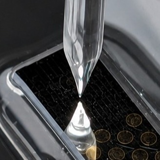 SECM Electrochemical Cells